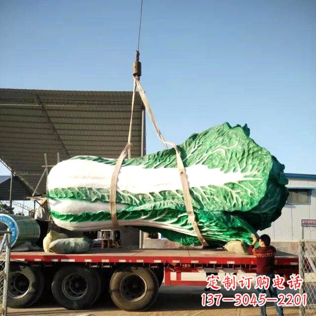 河南白菜之美——给你一份独特的食材
