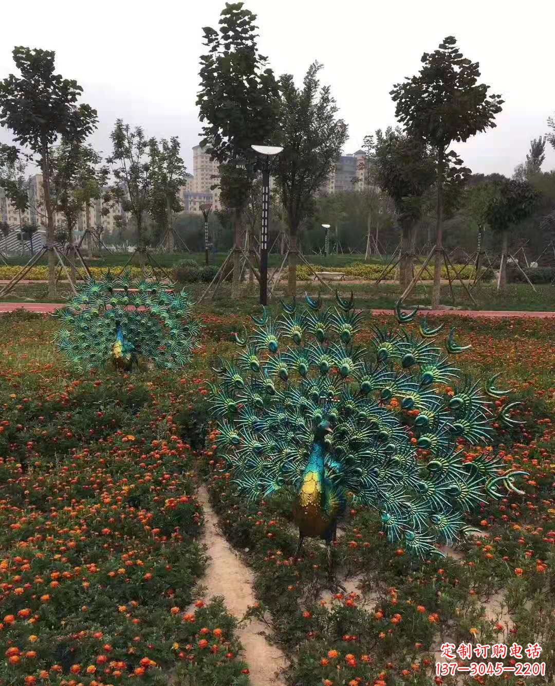河南不锈钢彩绘孔雀雕塑