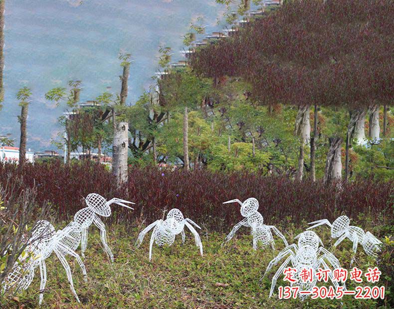 河南不锈钢蚂蚁镂空雕塑艺术与自然的完美结合