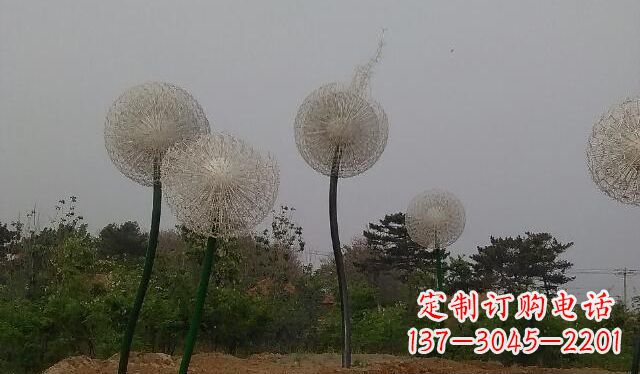 河南蒲公英的绚丽多彩