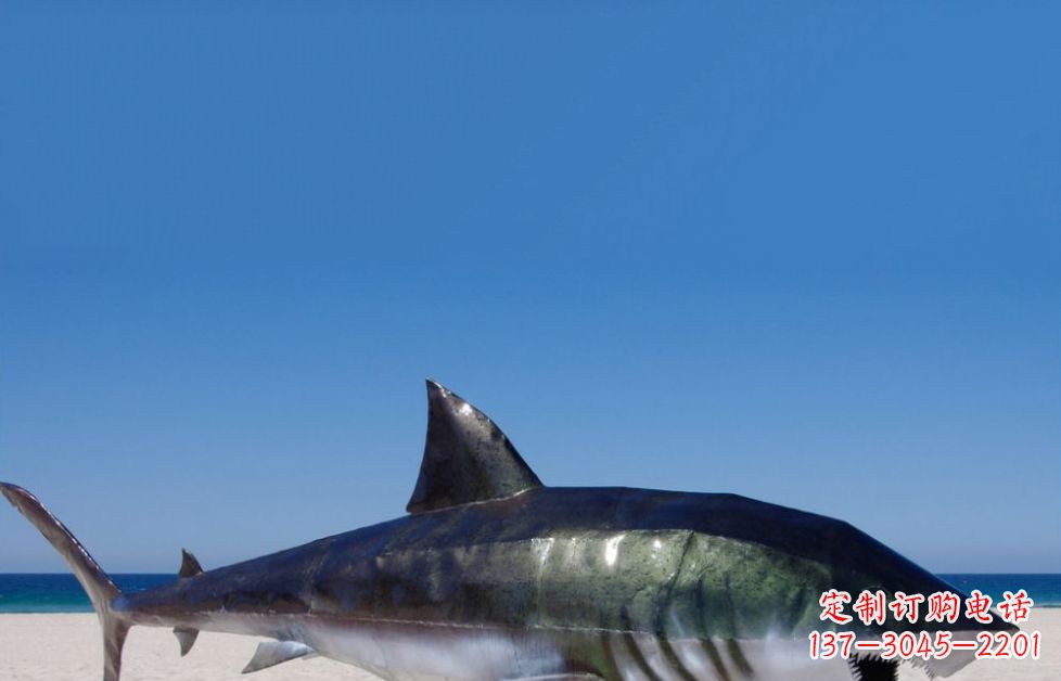 河南海洋生物之美——不锈钢鲨鱼雕塑