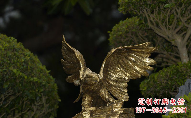 河南大鹏展翅老鹰铜雕 (3)