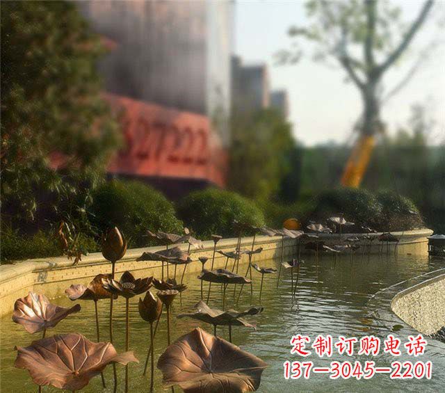河南荷叶风情传承——锻铜荷花荷叶小区景观雕塑