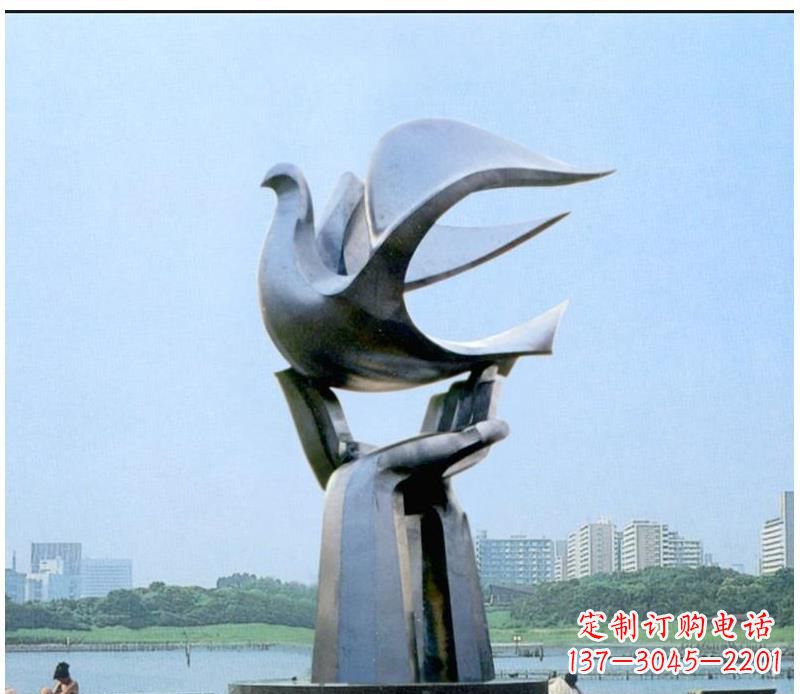 河南静谧之鸽,传递和平象征~