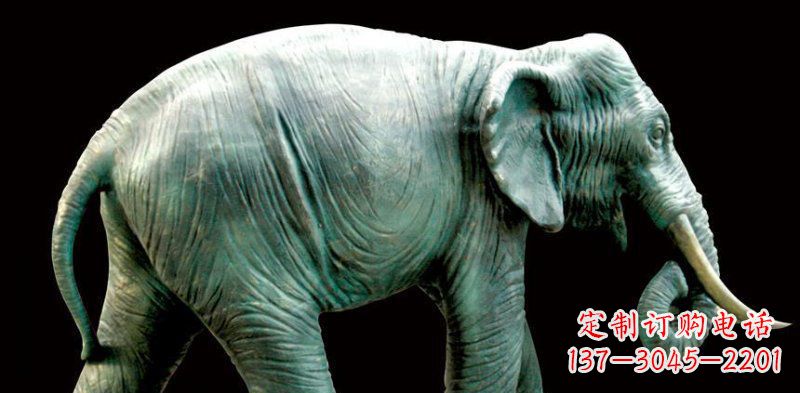 河南公园大象动物铜雕 (3)