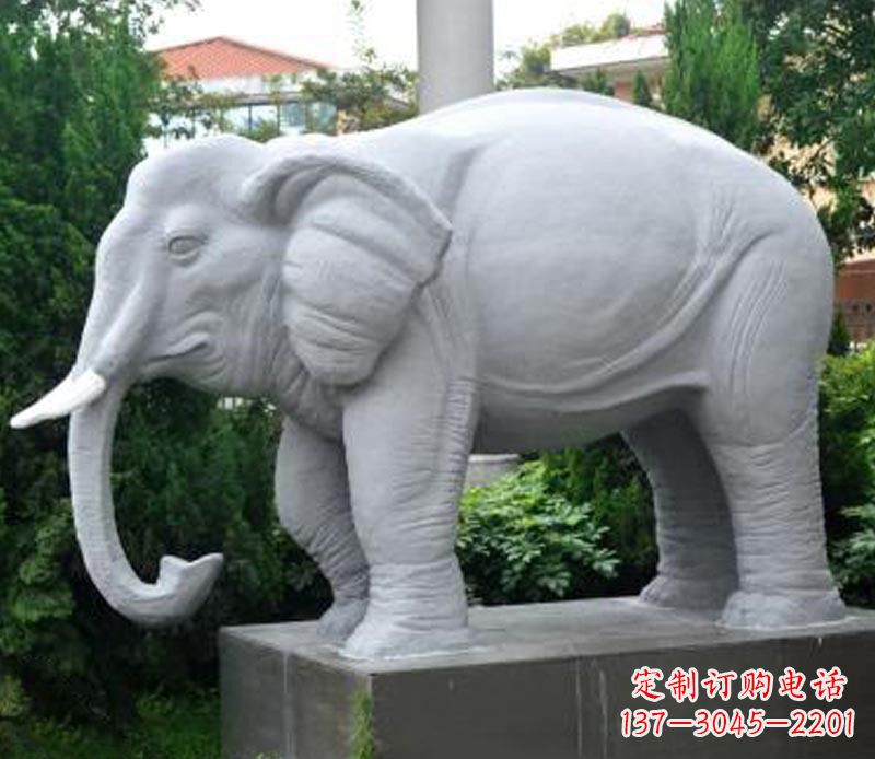 河南公园动物大理石大象石雕 (5)