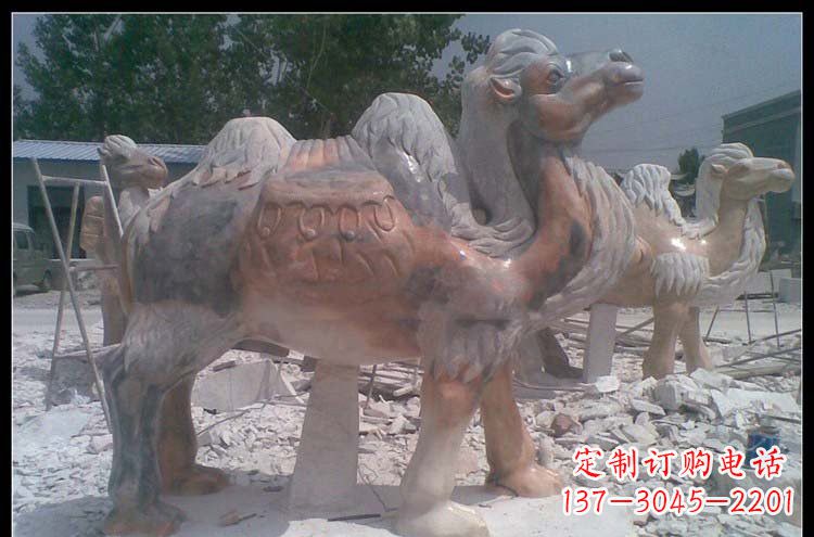 河南公园动物骆驼石雕222