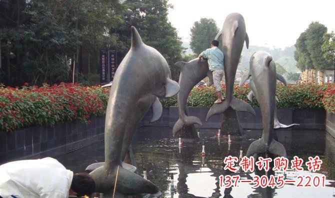 河南铜雕海豚——传递着海洋之美的艺术作品