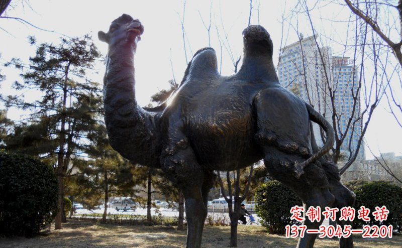 河南优美雕刻骆驼铜雕塑