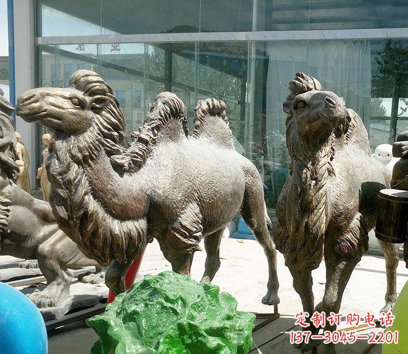 河南公园骆驼动物铜雕 (2)