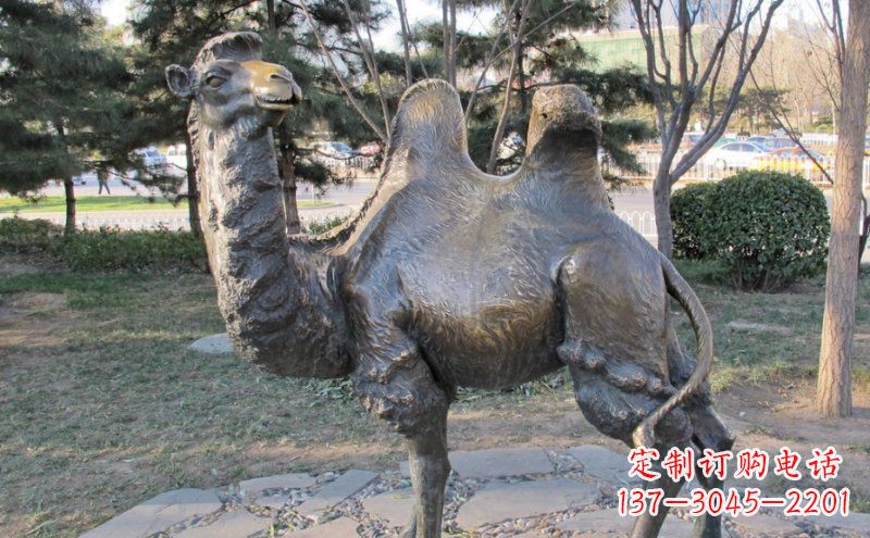 河南铜骆驼雕塑——浓缩自然美丽
