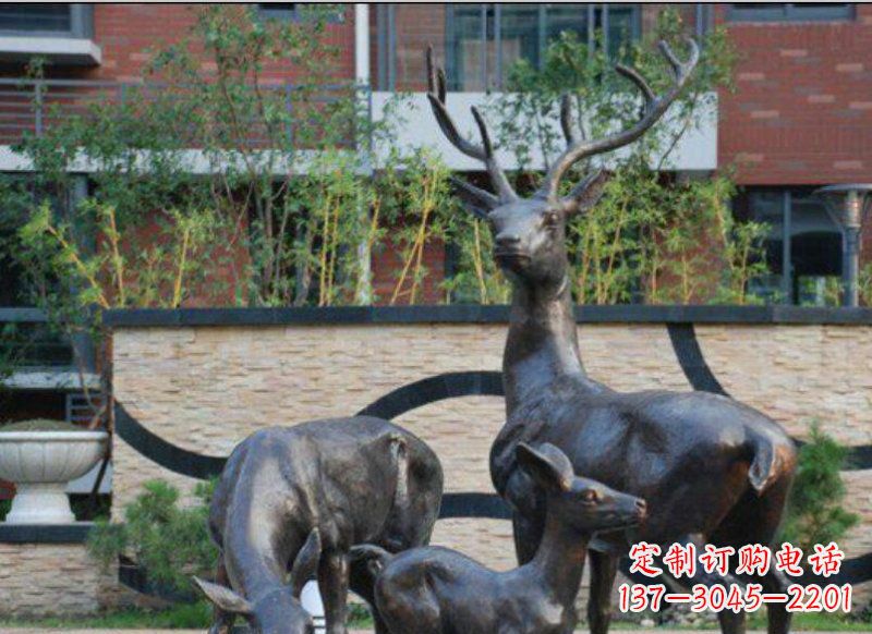 河南公园梅花鹿动物铜雕
