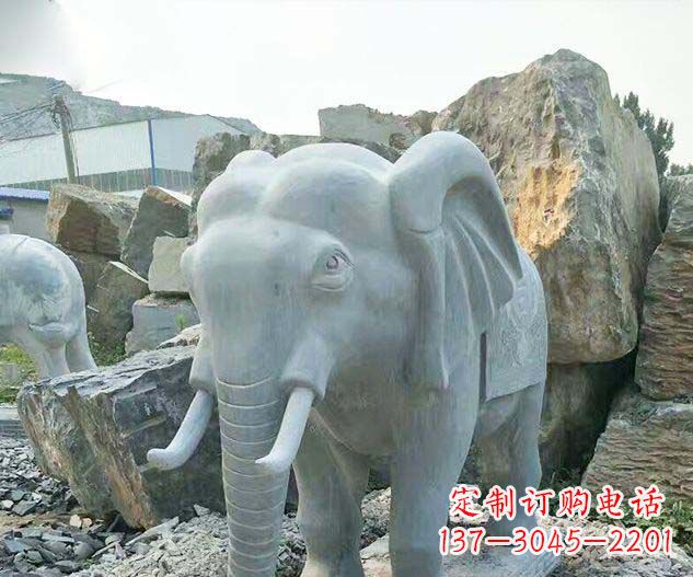 河南广场景观大理石大象石雕 (2)