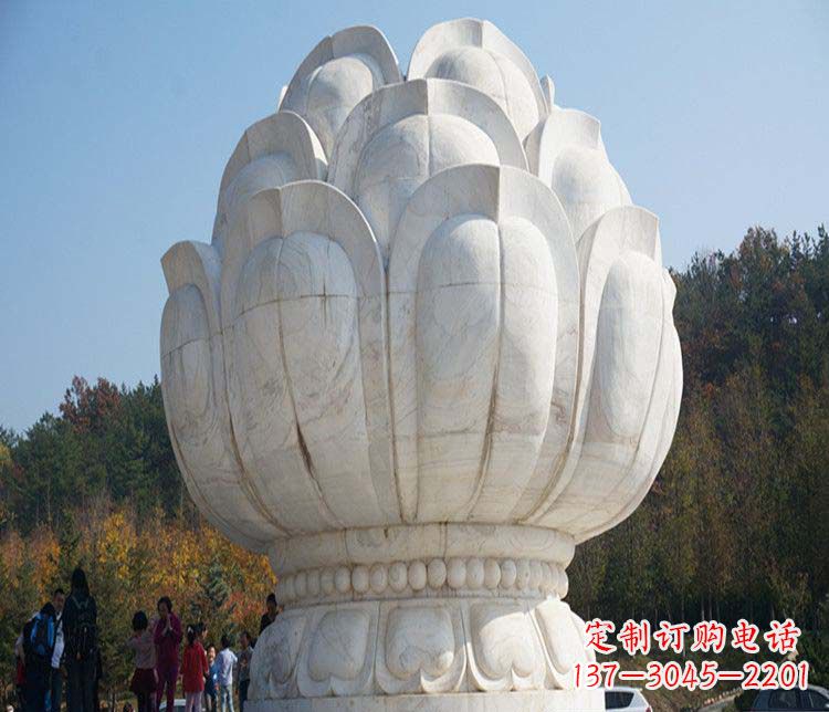 河南广场石雕荷花景观雕塑