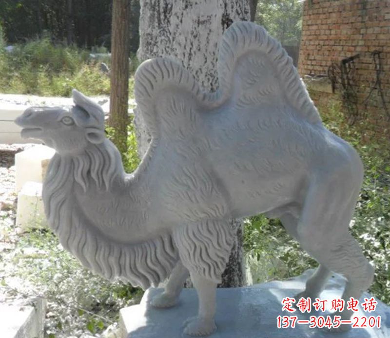 河南汉白玉骆驼雕,融入古朴奢华
