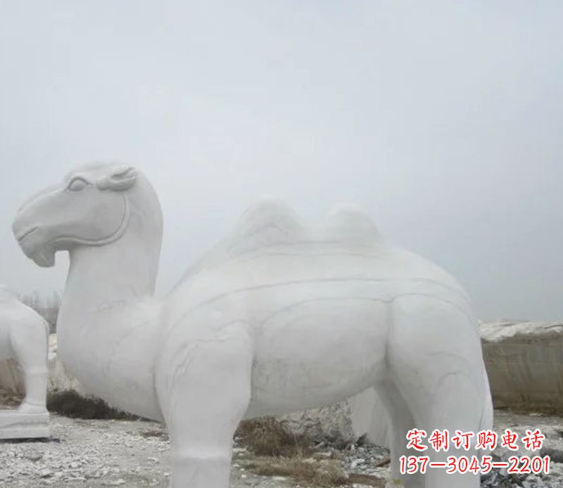 河南汉白玉骆驼石雕塑,装点家居空间