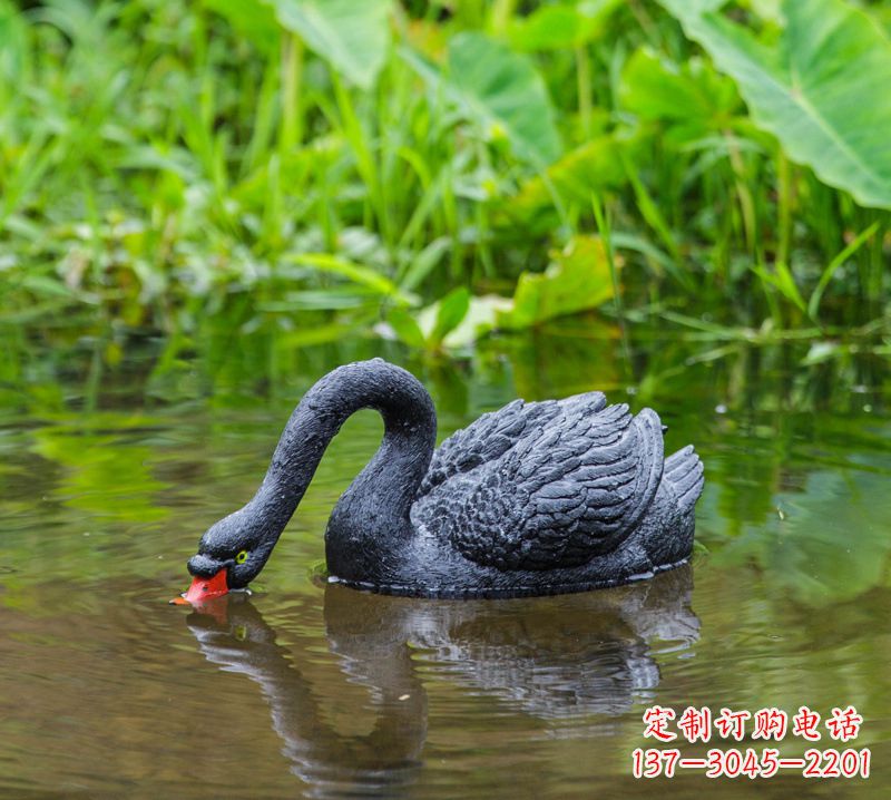 河南黑天鹅雕塑,水塘装饰摆件
