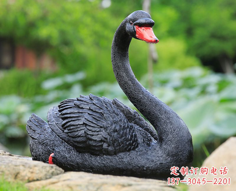 河南精致高端的黑色天鹅雕塑