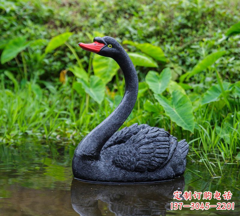 河南黑天鹅仰脖款-园林水塘水景装饰动物摆件