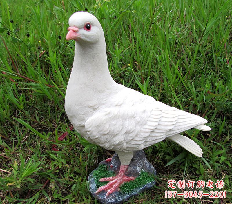 河南角斗士广场鸽子雕塑,象征勇气和坚毅