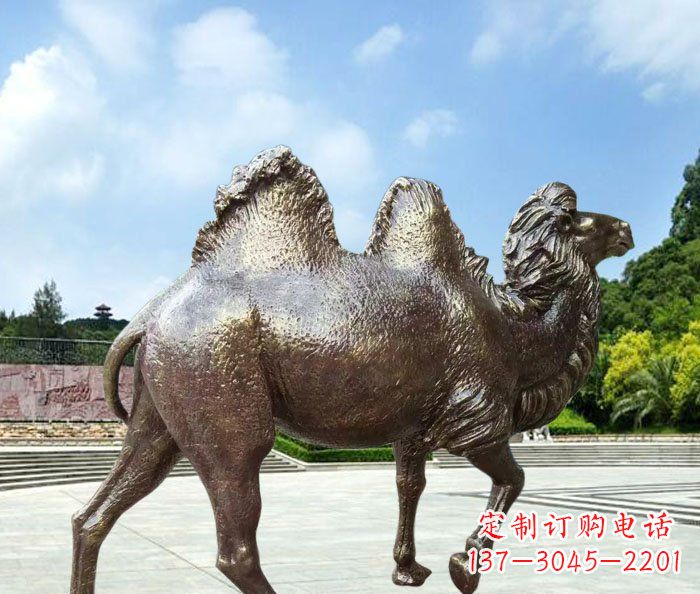 河南欣赏骆驼美感,购买骆驼铜雕