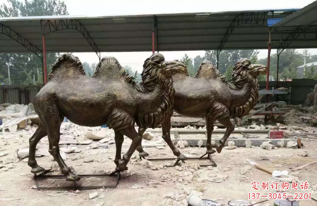 河南欣赏大自然的艺术之作——骆驼铜雕