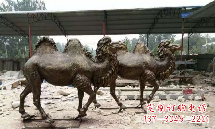 河南典雅优美的骆驼铜雕
