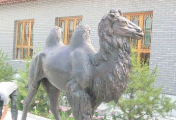河南精美的骆驼铜雕，提升您的公园气质
