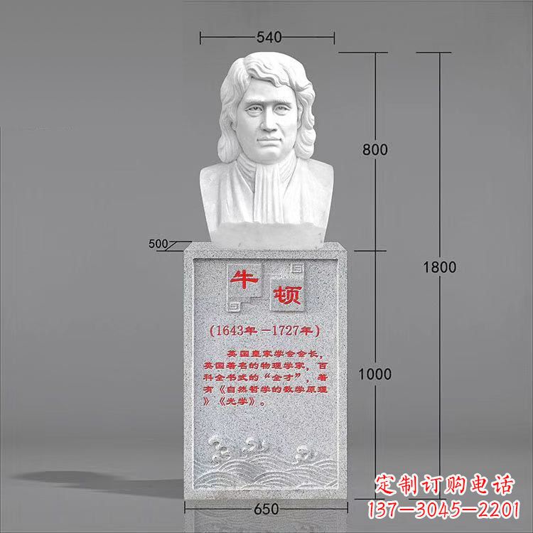 河南艺术精灵:牛顿汉白玉石头像雕塑