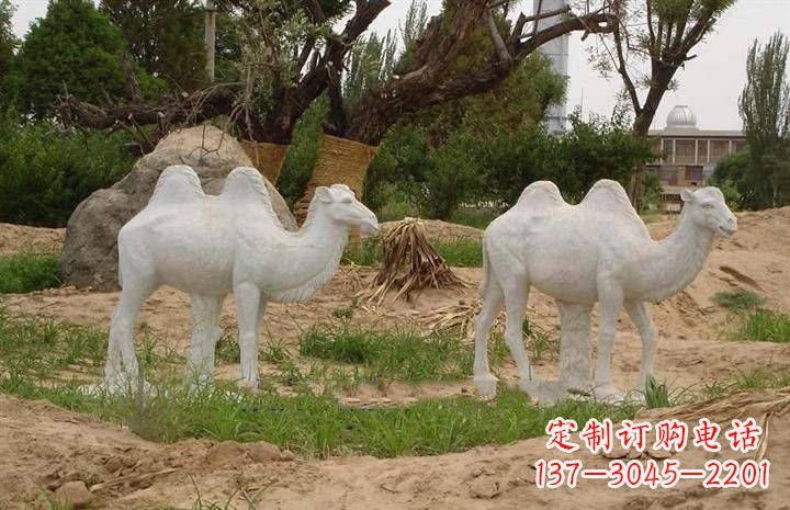 河南欣赏大自然,石雕骆驼公园动物雕塑邀请您