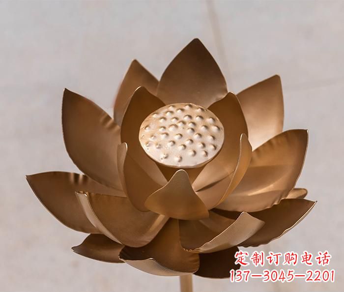 河南铜雕景观荷花