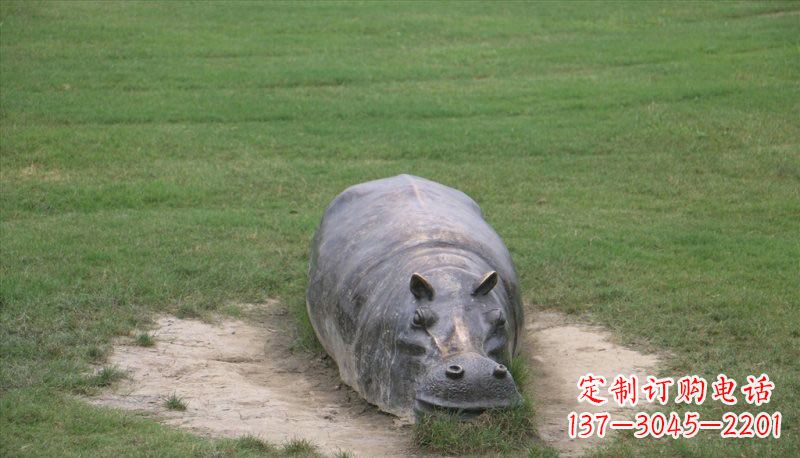 河南铜雕趴着的河马