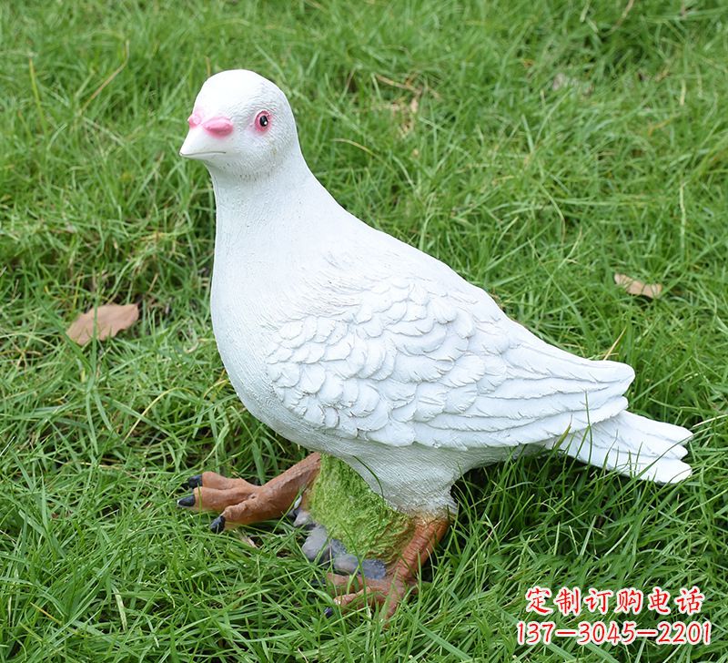 河南西方的鸽子雕塑