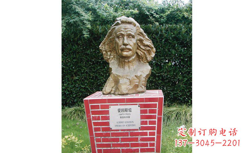 河南西方名人爱因斯坦头像铜雕