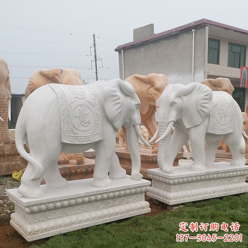 河南学校石雕大象