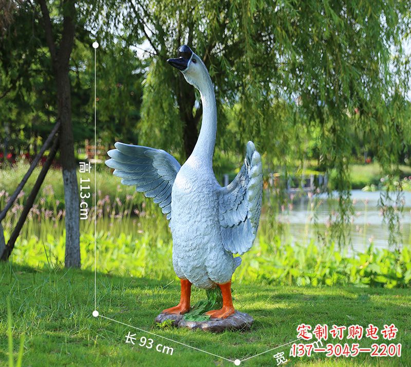 河南站立的灰色展翅天鹅